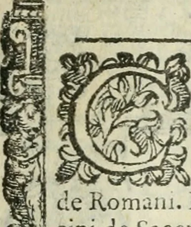 An illustration from Rosario della gloriosa Vergine Maria : con le stationi, & indulgentie delle chiese di Roma per tutto l'anno : di nuouo stampato, & ricorretto con nuoue & belle figure adornato, 1591, leaf 214