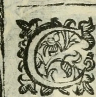 An illustration from Rosario della gloriosa Vergine Maria : con le stationi, & indulgentie delle chiese di Roma per tutto l'anno : di nuouo stampato, & ricorretto con nuoue & belle figure adornato, 1591, leaf 218