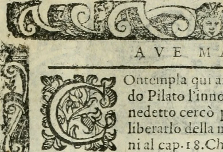 An illustration from Rosario della gloriosa Vergine Maria : con le stationi, & indulgentie delle chiese di Roma per tutto l'anno : di nuouo stampato, & ricorretto con nuoue & belle figure adornato, 1591, leaf 222