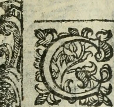 An illustration from Rosario della gloriosa Vergine Maria : con le stationi, & indulgentie delle chiese di Roma per tutto l'anno : di nuouo stampato, & ricorretto con nuoue & belle figure adornato, 1591, leaf 224
