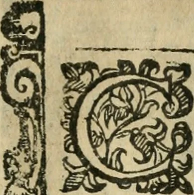 An illustration from Rosario della gloriosa Vergine Maria : con le stationi, & indulgentie delle chiese di Roma per tutto l'anno : di nuouo stampato, & ricorretto con nuoue & belle figure adornato, 1591, leaf 236