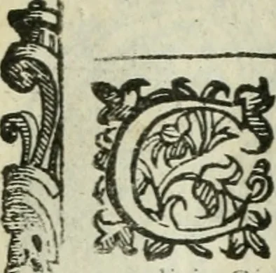 An illustration from Rosario della gloriosa Vergine Maria : con le stationi, & indulgentie delle chiese di Roma per tutto l'anno : di nuouo stampato, & ricorretto con nuoue & belle figure adornato, 1591, leaf 252