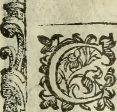 An illustration from Rosario della gloriosa Vergine Maria : con le stationi, & indulgentie delle chiese di Roma per tutto l'anno : di nuouo stampato, & ricorretto con nuoue & belle figure adornato, 1591, leaf 268
