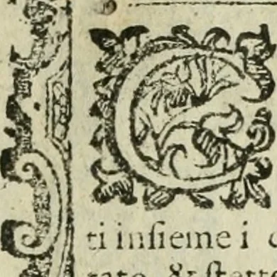 An illustration from Rosario della gloriosa Vergine Maria : con le stationi, & indulgentie delle chiese di Roma per tutto l'anno : di nuouo stampato, & ricorretto con nuoue & belle figure adornato, 1591, leaf 312