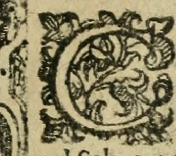 An illustration from Rosario della gloriosa Vergine Maria : con le stationi, & indulgentie delle chiese di Roma per tutto l'anno : di nuouo stampato, & ricorretto con nuoue & belle figure adornato, 1591, leaf 376
