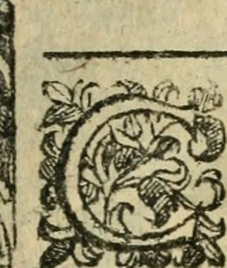 An illustration from Rosario della gloriosa Vergine Maria : con le stationi, & indulgentie delle chiese di Roma per tutto l'anno : di nuouo stampato, & ricorretto con nuoue & belle figure adornato, 1591, leaf 378
