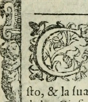 An illustration from Rosario della gloriosa Vergine Maria : con le stationi, & indulgentie delle chiese di Roma per tutto l'anno : di nuouo stampato, & ricorretto con nuoue & belle figure adornato, 1591, leaf 392