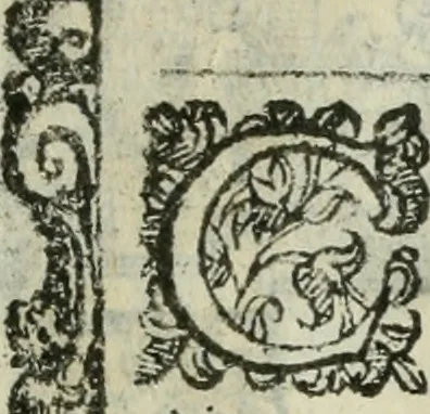 An illustration from Rosario della gloriosa Vergine Maria : con le stationi, & indulgentie delle chiese di Roma per tutto l'anno : di nuouo stampato, & ricorretto con nuoue & belle figure adornato, 1591, leaf 402
