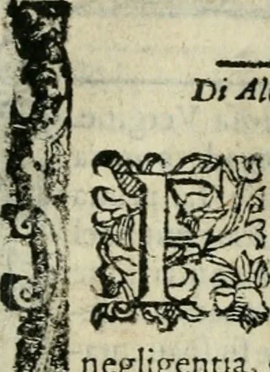 An illustration from Rosario della gloriosa Vergine Maria : con le stationi, & indulgentie delle chiese di Roma per tutto l'anno : di nuouo stampato, & ricorretto con nuoue & belle figure adornato, 1591, leaf 462