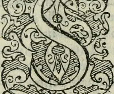 An illustration from Rosario della gloriosa Vergine Maria : con le stationi, & indulgentie delle chiese di Roma per tutto l'anno : di nuouo stampato, & ricorretto con nuoue & belle figure adornato, 1591, leaf 8