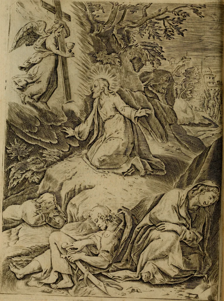 An illustration from Rosario figvrato della Sacratissima Vergine Maria, Madre di Dio, nostra avocata, 1578, leaf 119