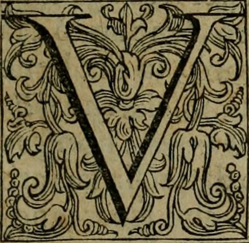 An illustration from Rosario figvrato della Sacratissima Vergine Maria, Madre di Dio, nostra avocata, 1578, leaf 120