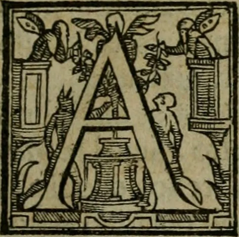 An illustration from Rosario figvrato della Sacratissima Vergine Maria, Madre di Dio, nostra avocata, 1578, leaf 160