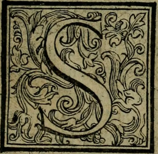 An illustration from Rosario figvrato della Sacratissima Vergine Maria, Madre di Dio, nostra avocata, 1578, leaf 198