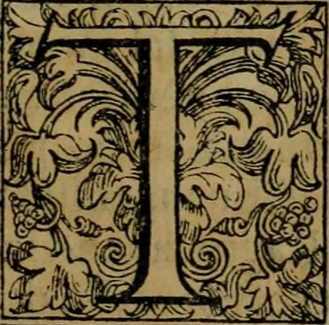 An illustration from Rosario figvrato della Sacratissima Vergine Maria, Madre di Dio, nostra avocata, 1578, leaf 26