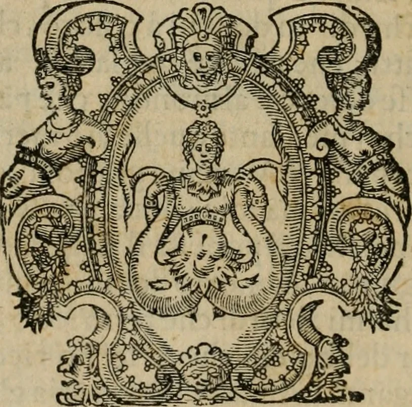 An illustration from Rosario figvrato della Sacratissima Vergine Maria, Madre di Dio, nostra avocata, 1578, leaf 291
