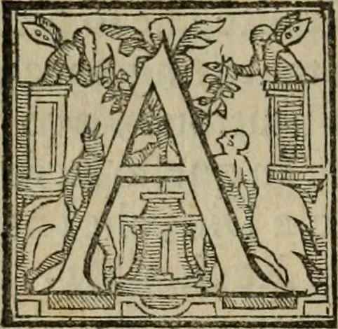 An illustration from Rosario figvrato della Sacratissima Vergine Maria, Madre di Dio, nostra avocata, 1578, leaf 61