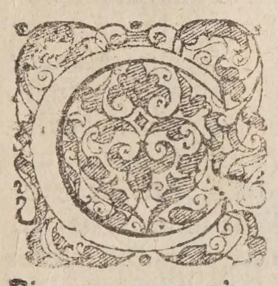 An illustration from Rosarivm avrevm B. Mariae Virginis : non solvm verbi dei concionatoribus, & ecclesiarum curatis valde, 1592, leaf 19