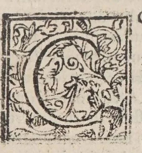 An illustration from Rosarivm avrevm B. Mariae Virginis : non solvm verbi dei concionatoribus, & ecclesiarum curatis valde, 1592, leaf 401