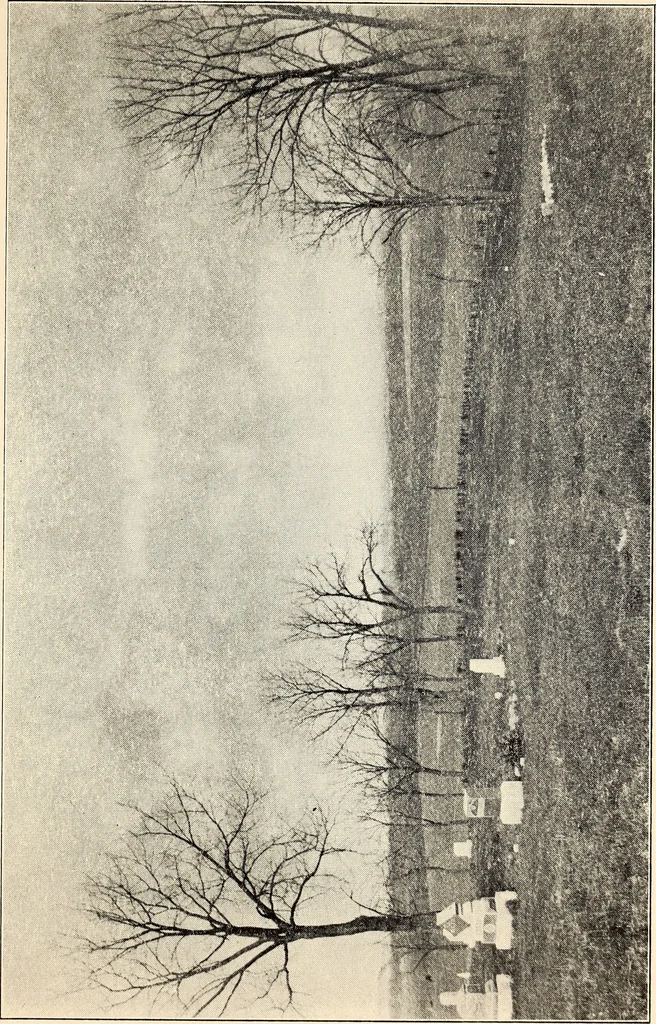 An illustration from Rosemond Grove Cemetery Association : historical sketch ; by-laws ; Soldiers' Monument : dedication exercises ; addresses, 1905, leaf 28