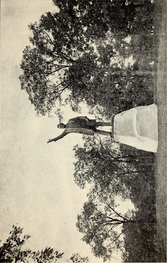 An illustration from Rosemond Grove Cemetery Association : historical sketch ; by-laws ; Soldiers' Monument : dedication exercises ; addresses, 1905, leaf 34