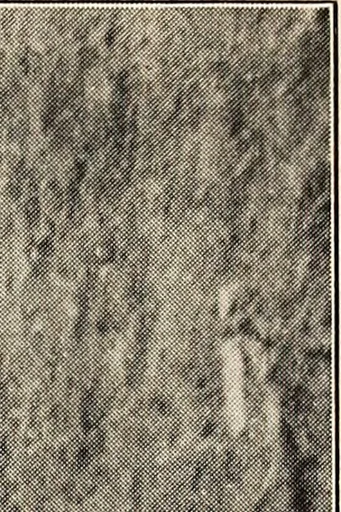 An illustration from Rosemond Grove Cemetery Association : historical sketch ; by-laws ; Soldiers' Monument : dedication exercises ; addresses, 1905, leaf 54