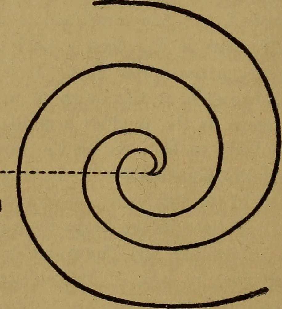 An illustration from The Rosicrucian cosmo-conception; or, Christian occult science, an elementary treatise upon man's past evolution, present constitution and future development, 1909, leaf 101