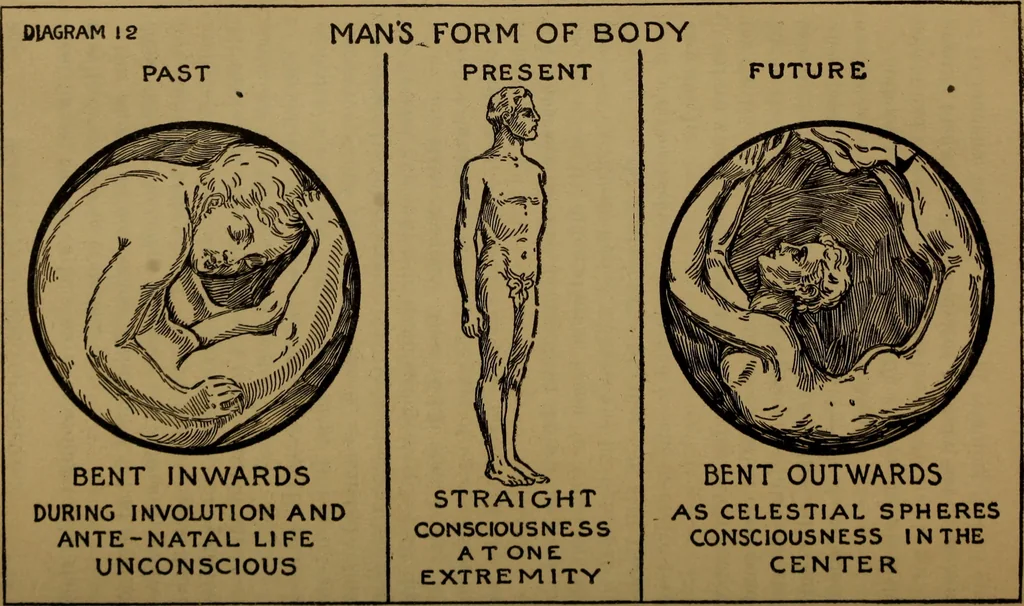 An illustration from The Rosicrucian cosmo-conception; or, Christian occult science, an elementary treatise upon man's past evolution, present constitution and future development, 1909, leaf 262