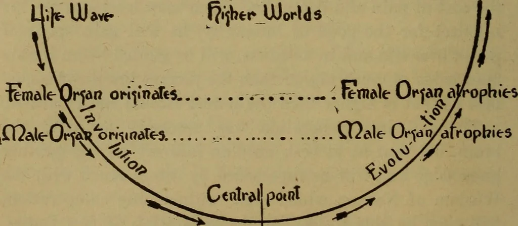 An illustration from The Rosicrucian cosmo-conception; or, Christian occult science, an elementary treatise upon man's past evolution, present constitution and future development, 1909, leaf 369