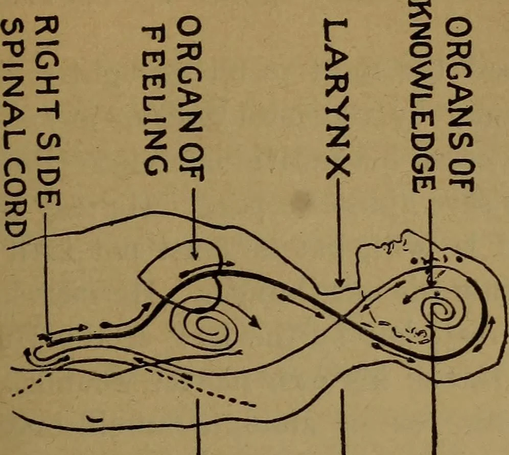 An illustration from The Rosicrucian cosmo-conception; or, Christian occult science, an elementary treatise upon man's past evolution, present constitution and future development, 1909, leaf 480