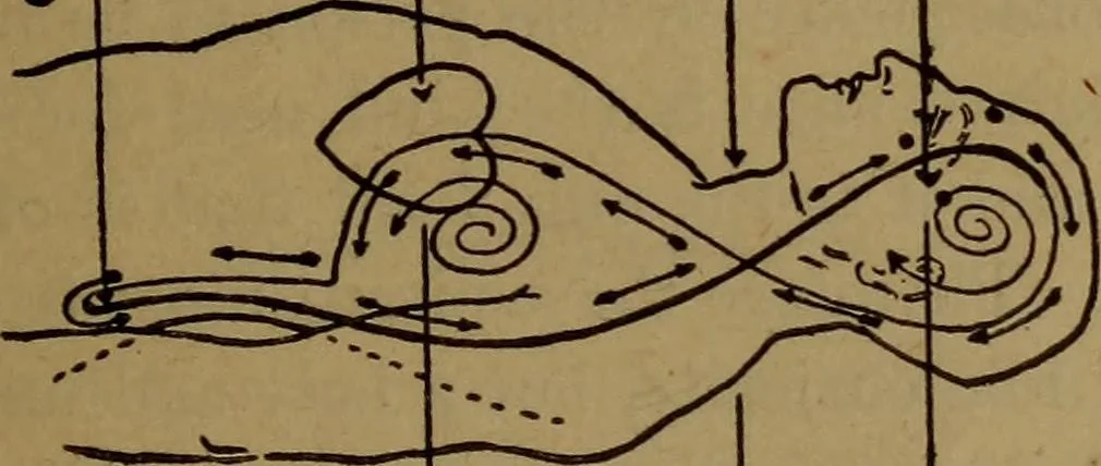 An illustration from The Rosicrucian cosmo-conception; or, Christian occult science, an elementary treatise upon man's past evolution, present constitution and future development, 1909, leaf 480