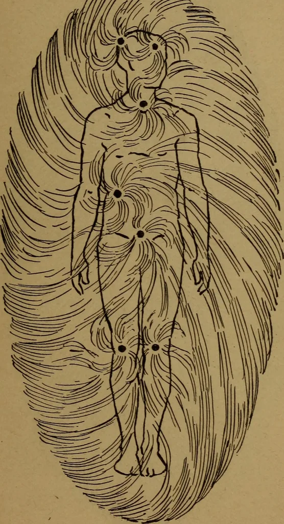An illustration from The Rosicrucian cosmo-conception; or, Christian occult science, an elementary treatise upon man's past evolution, present constitution and future development, 1909, leaf 542