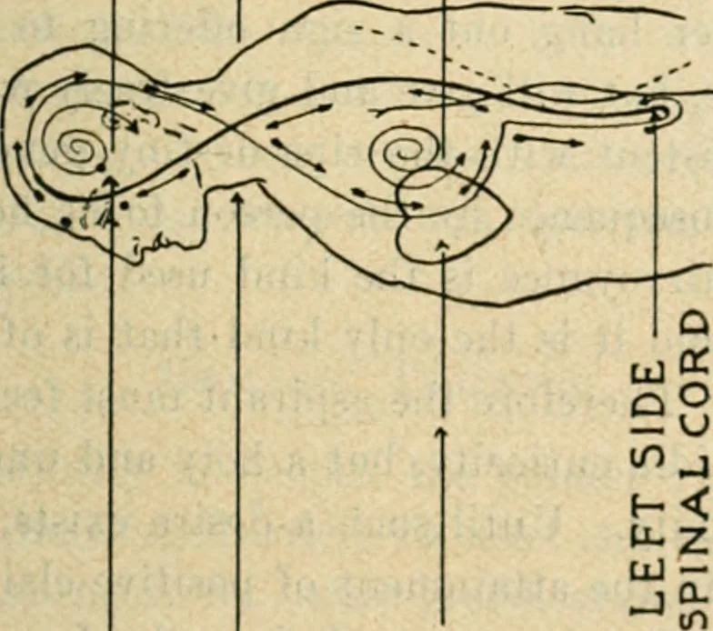 An illustration from The Rosicrucian cosmo-conception : or, Mystic Christianity ; an elementary treatise upon man's past evolution, present constitution and future development, 1920, leaf 488