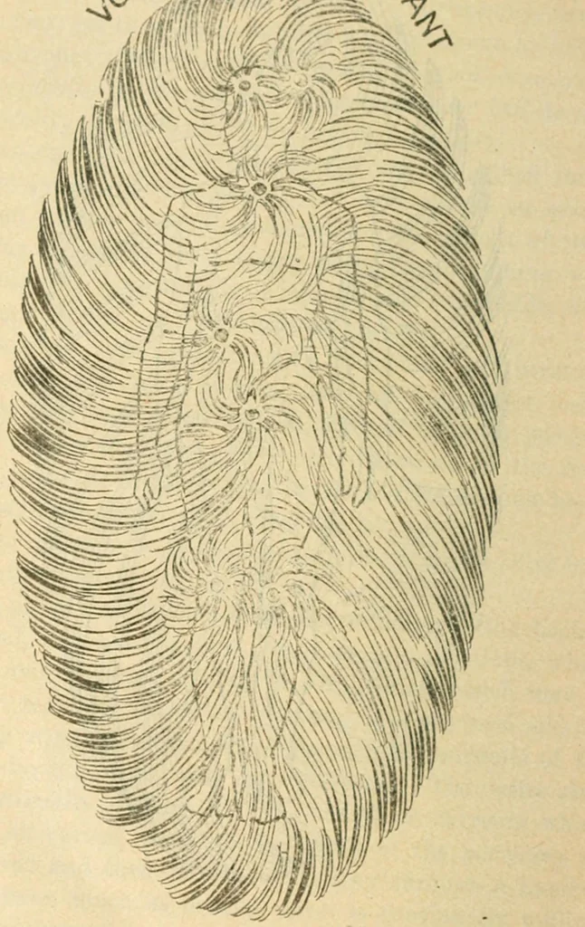 An illustration from The Rosicrucian cosmo-conception : or, Mystic Christianity ; an elementary treatise upon man's past evolution, present constitution and future development, 1920, leaf 75