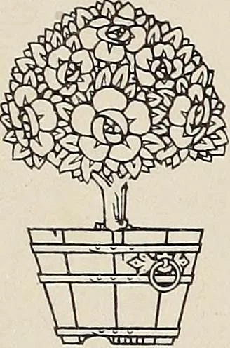 An illustration from Rosicrucian fundamentals : an exposition of the Rosicrucian synthesis of religion, science and philosophy, in fourteen complete instructions, 1920, leaf 12