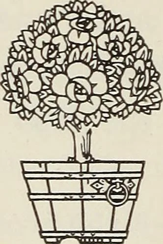 An illustration from Rosicrucian fundamentals : an exposition of the Rosicrucian synthesis of religion, science and philosophy, in fourteen complete instructions, 1920, leaf 133