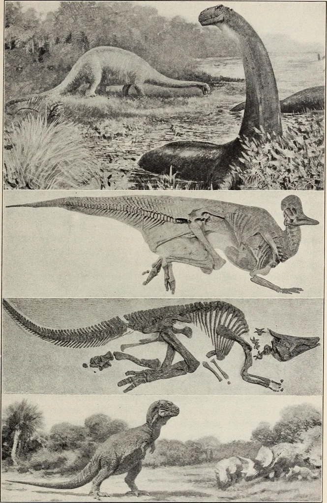An illustration from Rosicrucian fundamentals : an exposition of the Rosicrucian synthesis of religion, science and philosophy, in fourteen complete instructions, 1920, leaf 248