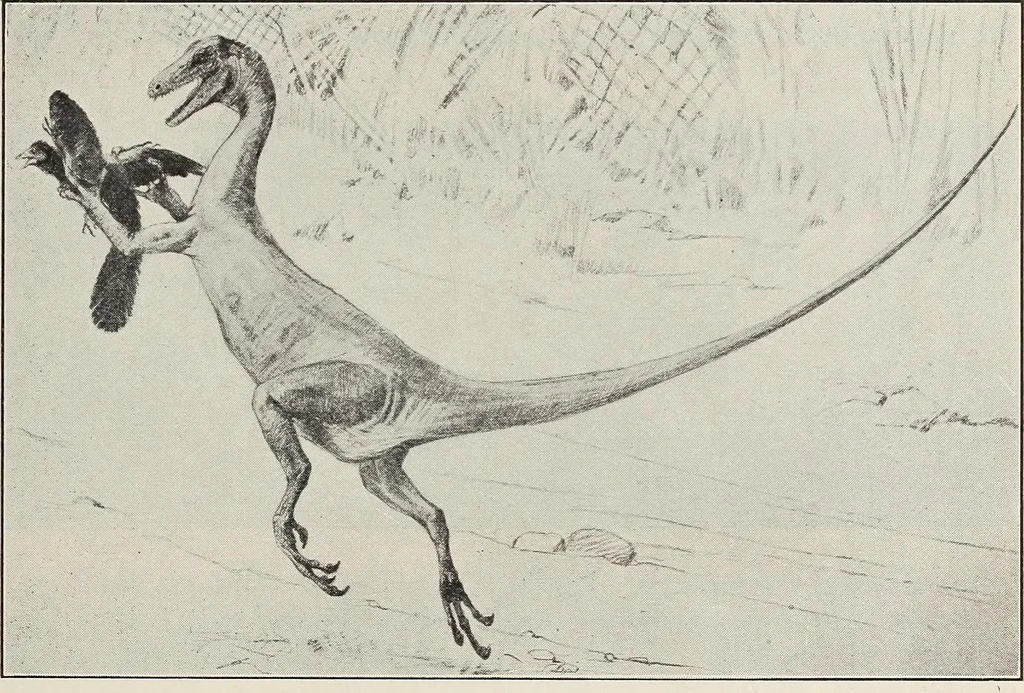 An illustration from Rosicrucian fundamentals : an exposition of the Rosicrucian synthesis of religion, science and philosophy, in fourteen complete instructions, 1920, leaf 250