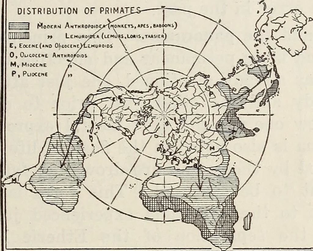 An illustration from Rosicrucian fundamentals : an exposition of the Rosicrucian synthesis of religion, science and philosophy, in fourteen complete instructions, 1920, leaf 266