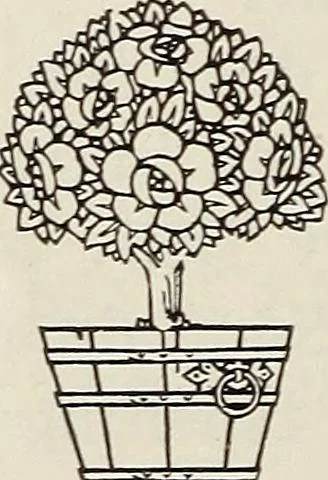 An illustration from Rosicrucian fundamentals : an exposition of the Rosicrucian synthesis of religion, science and philosophy, in fourteen complete instructions, 1920, leaf 275