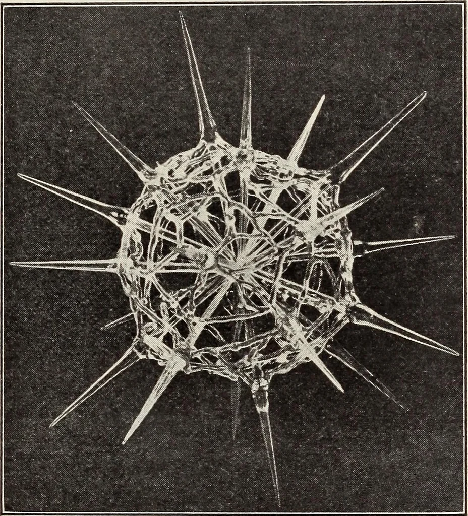 An illustration from Rosicrucian fundamentals : an exposition of the Rosicrucian synthesis of religion, science and philosophy, in fourteen complete instructions, 1920, leaf 278