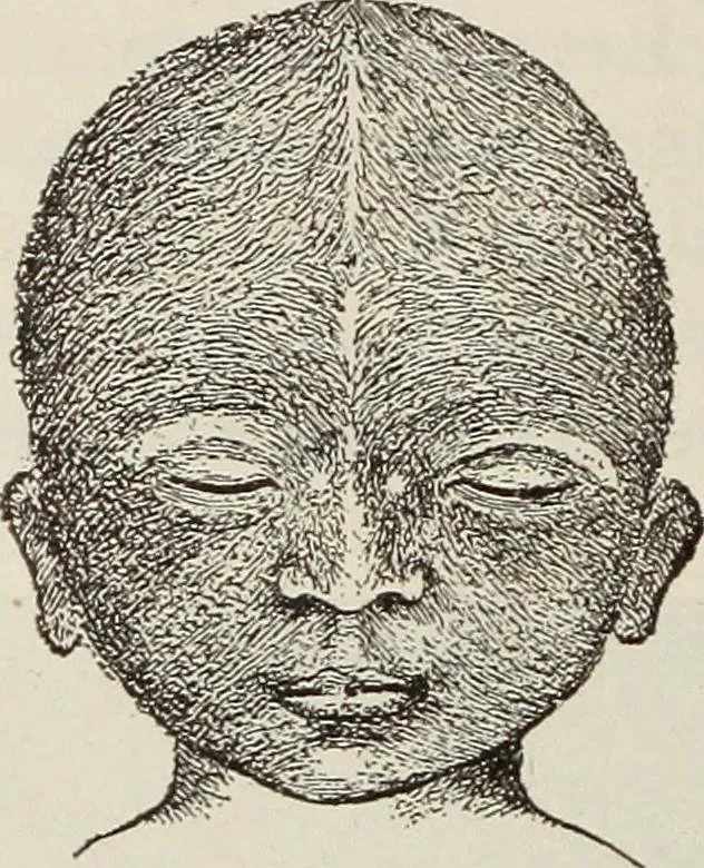 An illustration from Rosicrucian fundamentals : an exposition of the Rosicrucian synthesis of religion, science and philosophy, in fourteen complete instructions, 1920, leaf 279