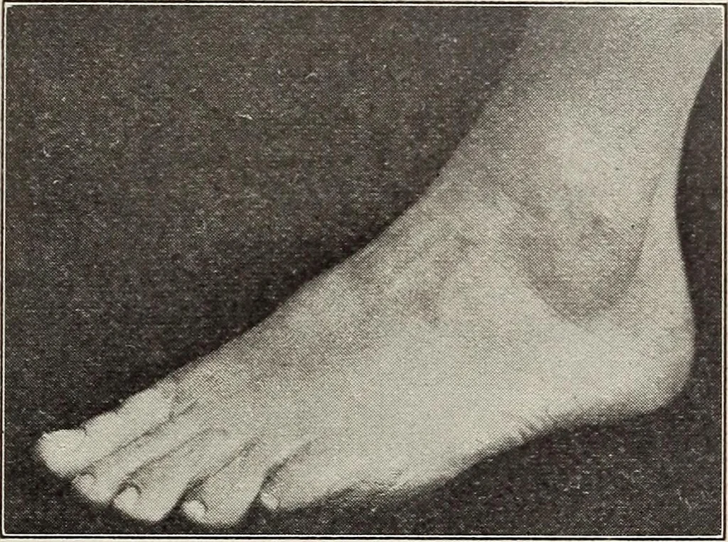 An illustration from Rosicrucian fundamentals : an exposition of the Rosicrucian synthesis of religion, science and philosophy, in fourteen complete instructions, 1920, leaf 288