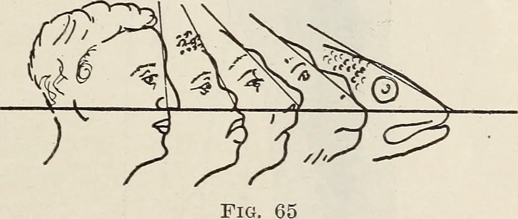 An illustration from Rosicrucian fundamentals : an exposition of the Rosicrucian synthesis of religion, science and philosophy, in fourteen complete instructions, 1920, leaf 292