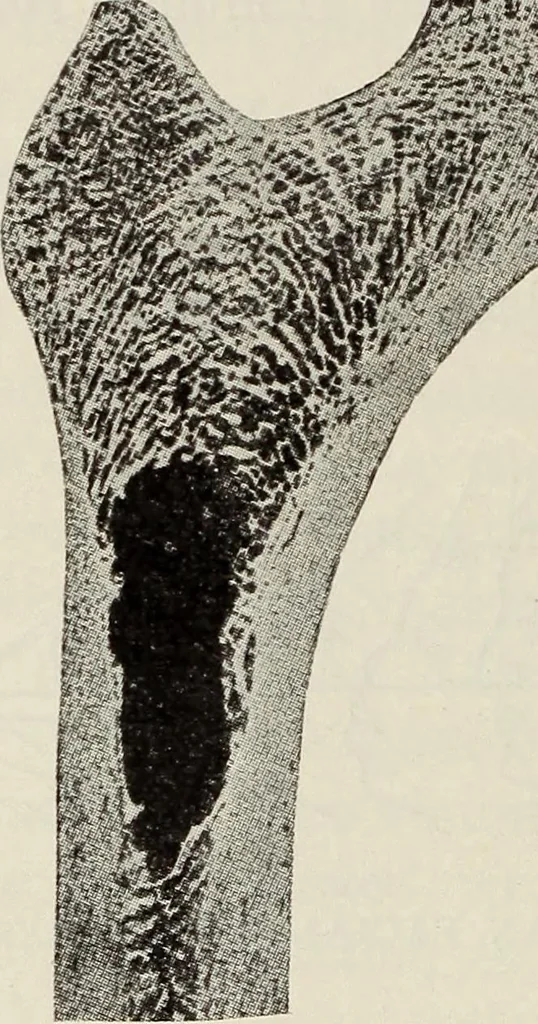 An illustration from Rosicrucian fundamentals : an exposition of the Rosicrucian synthesis of religion, science and philosophy, in fourteen complete instructions, 1920, leaf 293