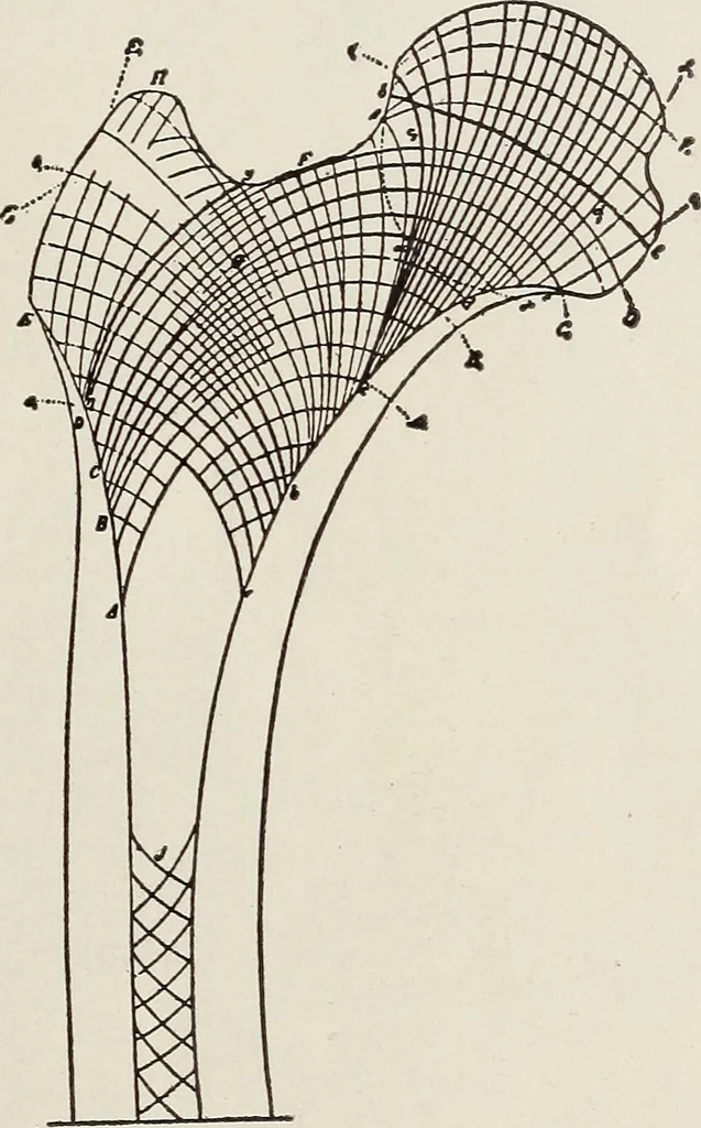 An illustration from Rosicrucian fundamentals : an exposition of the Rosicrucian synthesis of religion, science and philosophy, in fourteen complete instructions, 1920, leaf 294