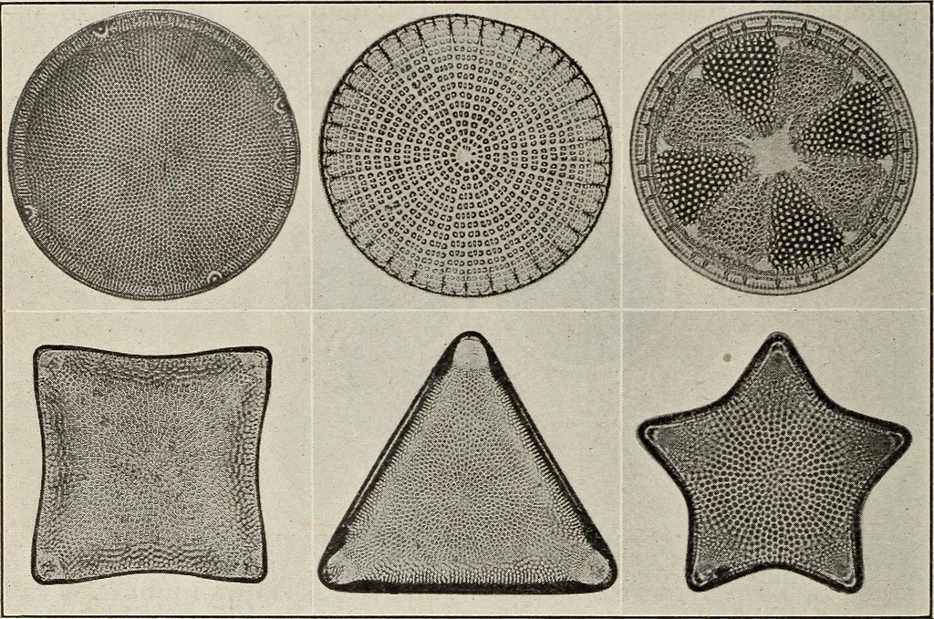 An illustration from Rosicrucian fundamentals : an exposition of the Rosicrucian synthesis of religion, science and philosophy, in fourteen complete instructions, 1920, leaf 299