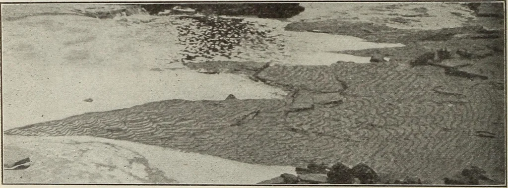 An illustration from Rosicrucian fundamentals : an exposition of the Rosicrucian synthesis of religion, science and philosophy, in fourteen complete instructions, 1920, leaf 301