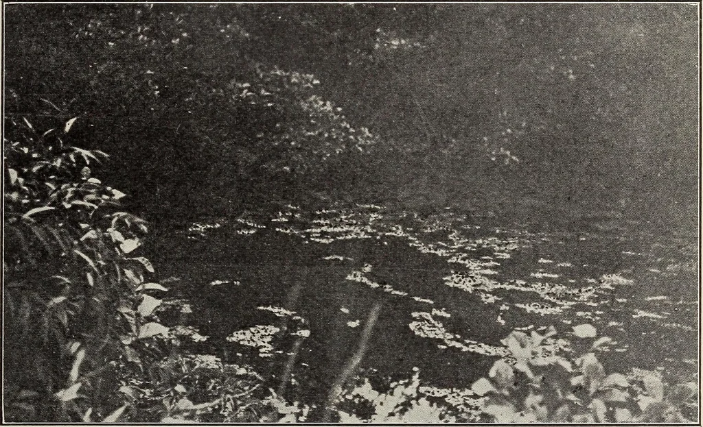An illustration from Rosicrucian fundamentals : an exposition of the Rosicrucian synthesis of religion, science and philosophy, in fourteen complete instructions, 1920, leaf 304