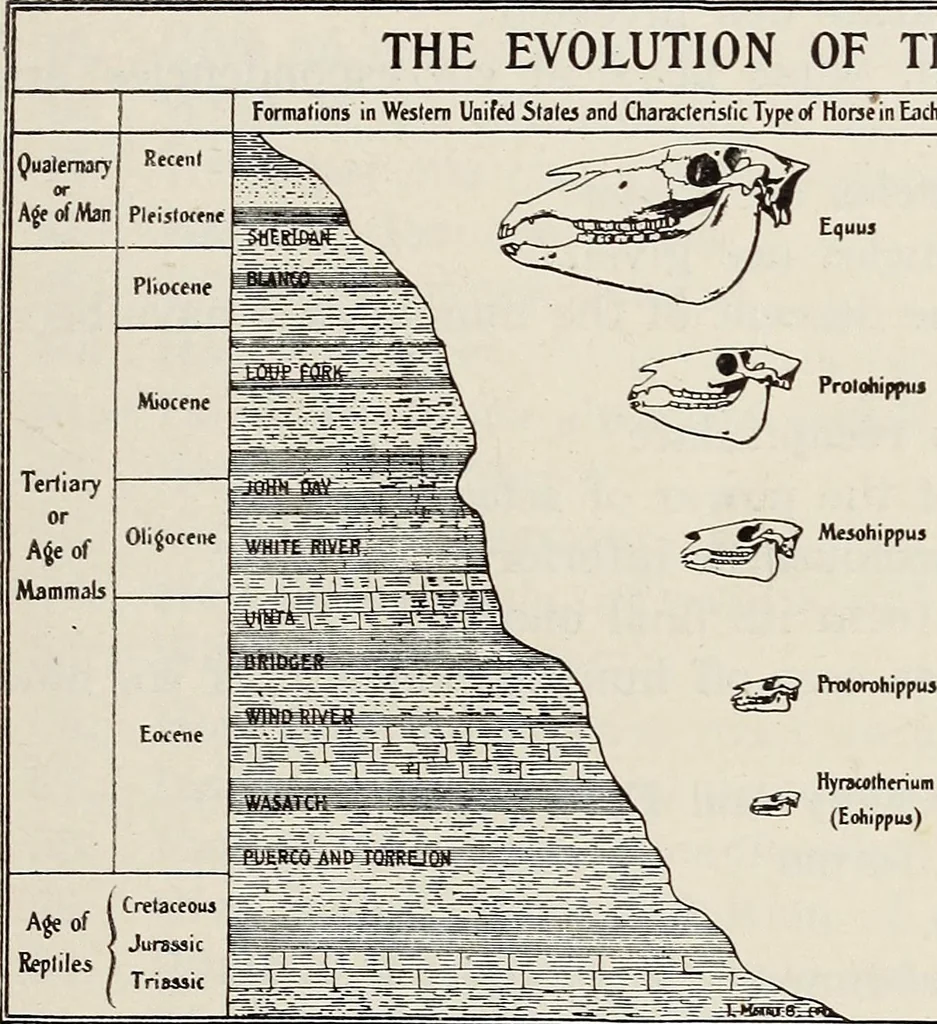An illustration from Rosicrucian fundamentals : an exposition of the Rosicrucian synthesis of religion, science and philosophy, in fourteen complete instructions, 1920, leaf 308